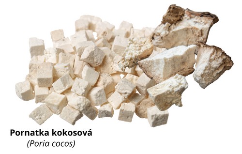 Pornatka kokosová